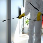 How Can an Eco-Friendly Ant Exterminator Benefit Secure Your Yard?