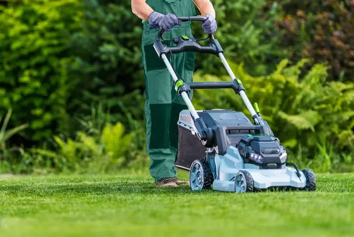 Ozzie Mowing And Gardening