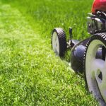 Factors to Consider When Choosing Between Gas and Electric Mowers