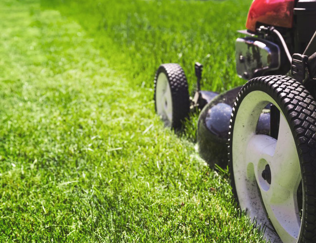 Factors to Consider When Choosing Between Gas and Electric Mowers